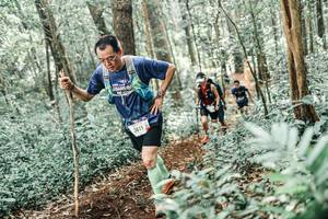 BIB: 
                            <button type="button" onclick="openModal(25526159)" class="btn btn-primary btn-sm float-right btn-popup" data-toggle="modal" data-target=".modal-high-quality">
                        <i class="fas fa-shopping-cart"></i> Add to Cart
                    </button>
                                            <button type="button" onclick="isThisMe(25526159, true)" class="btn btn-success btn-sm float-right btn-popup btn-isme hidden" data-toggle="tooltip" data-placement="bottom" title="นี่คือรูปของคุณใช่ไหม คลิกที่นี่เพื่อเอาเข้าอัลบั้ม">
                        <i class="fas fa-plus"></i> Add to album
                    </button>
                    <button type="button" onclick="isThisMe(25526159, false)" class="btn btn-warning btn-sm float-right btn-popup btn-isnotme hidden">
                        <i class="fas fa-ban"></i> Remove from album
                    </button>