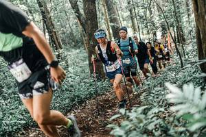 BIB: 
                            <button type="button" onclick="openModal(25517953)" class="btn btn-primary btn-sm float-right btn-popup" data-toggle="modal" data-target=".modal-high-quality">
                        <i class="fas fa-shopping-cart"></i> Add to Cart
                    </button>
                                            <button type="button" onclick="isThisMe(25517953, true)" class="btn btn-success btn-sm float-right btn-popup btn-isme hidden" data-toggle="tooltip" data-placement="bottom" title="นี่คือรูปของคุณใช่ไหม คลิกที่นี่เพื่อเอาเข้าอัลบั้ม">
                        <i class="fas fa-plus"></i> Add to album
                    </button>
                    <button type="button" onclick="isThisMe(25517953, false)" class="btn btn-warning btn-sm float-right btn-popup btn-isnotme hidden">
                        <i class="fas fa-ban"></i> Remove from album
                    </button>