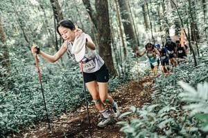 BIB: 
                            <button type="button" onclick="openModal(25519645)" class="btn btn-primary btn-sm float-right btn-popup" data-toggle="modal" data-target=".modal-high-quality">
                        <i class="fas fa-shopping-cart"></i> Add to Cart
                    </button>
                                            <button type="button" onclick="isThisMe(25519645, true)" class="btn btn-success btn-sm float-right btn-popup btn-isme hidden" data-toggle="tooltip" data-placement="bottom" title="นี่คือรูปของคุณใช่ไหม คลิกที่นี่เพื่อเอาเข้าอัลบั้ม">
                        <i class="fas fa-plus"></i> Add to album
                    </button>
                    <button type="button" onclick="isThisMe(25519645, false)" class="btn btn-warning btn-sm float-right btn-popup btn-isnotme hidden">
                        <i class="fas fa-ban"></i> Remove from album
                    </button>