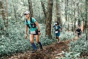 BIB: 
                            <button type="button" onclick="openModal(25526742)" class="btn btn-primary btn-sm float-right btn-popup" data-toggle="modal" data-target=".modal-high-quality">
                        <i class="fas fa-shopping-cart"></i> Add to Cart
                    </button>
                                            <button type="button" onclick="isThisMe(25526742, true)" class="btn btn-success btn-sm float-right btn-popup btn-isme hidden" data-toggle="tooltip" data-placement="bottom" title="นี่คือรูปของคุณใช่ไหม คลิกที่นี่เพื่อเอาเข้าอัลบั้ม">
                        <i class="fas fa-plus"></i> Add to album
                    </button>
                    <button type="button" onclick="isThisMe(25526742, false)" class="btn btn-warning btn-sm float-right btn-popup btn-isnotme hidden">
                        <i class="fas fa-ban"></i> Remove from album
                    </button>