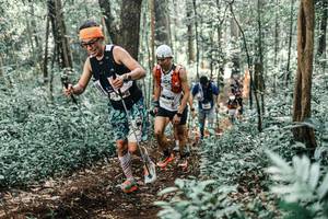 BIB: 
                            <button type="button" onclick="openModal(25514466)" class="btn btn-primary btn-sm float-right btn-popup" data-toggle="modal" data-target=".modal-high-quality">
                        <i class="fas fa-shopping-cart"></i> Add to Cart
                    </button>
                                            <button type="button" onclick="isThisMe(25514466, true)" class="btn btn-success btn-sm float-right btn-popup btn-isme hidden" data-toggle="tooltip" data-placement="bottom" title="นี่คือรูปของคุณใช่ไหม คลิกที่นี่เพื่อเอาเข้าอัลบั้ม">
                        <i class="fas fa-plus"></i> Add to album
                    </button>
                    <button type="button" onclick="isThisMe(25514466, false)" class="btn btn-warning btn-sm float-right btn-popup btn-isnotme hidden">
                        <i class="fas fa-ban"></i> Remove from album
                    </button>