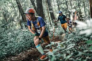 BIB: 
                            <button type="button" onclick="openModal(25489897)" class="btn btn-primary btn-sm float-right btn-popup" data-toggle="modal" data-target=".modal-high-quality">
                        <i class="fas fa-shopping-cart"></i> Add to Cart
                    </button>
                                            <button type="button" onclick="isThisMe(25489897, true)" class="btn btn-success btn-sm float-right btn-popup btn-isme hidden" data-toggle="tooltip" data-placement="bottom" title="นี่คือรูปของคุณใช่ไหม คลิกที่นี่เพื่อเอาเข้าอัลบั้ม">
                        <i class="fas fa-plus"></i> Add to album
                    </button>
                    <button type="button" onclick="isThisMe(25489897, false)" class="btn btn-warning btn-sm float-right btn-popup btn-isnotme hidden">
                        <i class="fas fa-ban"></i> Remove from album
                    </button>