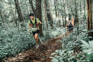 BIB: 
                            <button type="button" onclick="openModal(25514113)" class="btn btn-primary btn-sm float-right btn-popup" data-toggle="modal" data-target=".modal-high-quality">
                        <i class="fas fa-shopping-cart"></i> Add to Cart
                    </button>
                                            <button type="button" onclick="isThisMe(25514113, true)" class="btn btn-success btn-sm float-right btn-popup btn-isme hidden" data-toggle="tooltip" data-placement="bottom" title="นี่คือรูปของคุณใช่ไหม คลิกที่นี่เพื่อเอาเข้าอัลบั้ม">
                        <i class="fas fa-plus"></i> Add to album
                    </button>
                    <button type="button" onclick="isThisMe(25514113, false)" class="btn btn-warning btn-sm float-right btn-popup btn-isnotme hidden">
                        <i class="fas fa-ban"></i> Remove from album
                    </button>