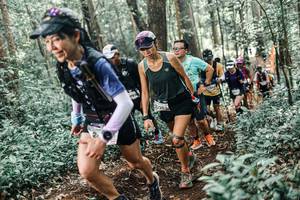 BIB: 
                            <button type="button" onclick="openModal(25516488)" class="btn btn-primary btn-sm float-right btn-popup" data-toggle="modal" data-target=".modal-high-quality">
                        <i class="fas fa-shopping-cart"></i> Add to Cart
                    </button>
                                            <button type="button" onclick="isThisMe(25516488, true)" class="btn btn-success btn-sm float-right btn-popup btn-isme hidden" data-toggle="tooltip" data-placement="bottom" title="นี่คือรูปของคุณใช่ไหม คลิกที่นี่เพื่อเอาเข้าอัลบั้ม">
                        <i class="fas fa-plus"></i> Add to album
                    </button>
                    <button type="button" onclick="isThisMe(25516488, false)" class="btn btn-warning btn-sm float-right btn-popup btn-isnotme hidden">
                        <i class="fas fa-ban"></i> Remove from album
                    </button>