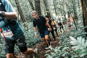 BIB: 
                            <button type="button" onclick="openModal(25518596)" class="btn btn-primary btn-sm float-right btn-popup" data-toggle="modal" data-target=".modal-high-quality">
                        <i class="fas fa-shopping-cart"></i> Add to Cart
                    </button>
                                            <button type="button" onclick="isThisMe(25518596, true)" class="btn btn-success btn-sm float-right btn-popup btn-isme hidden" data-toggle="tooltip" data-placement="bottom" title="นี่คือรูปของคุณใช่ไหม คลิกที่นี่เพื่อเอาเข้าอัลบั้ม">
                        <i class="fas fa-plus"></i> Add to album
                    </button>
                    <button type="button" onclick="isThisMe(25518596, false)" class="btn btn-warning btn-sm float-right btn-popup btn-isnotme hidden">
                        <i class="fas fa-ban"></i> Remove from album
                    </button>