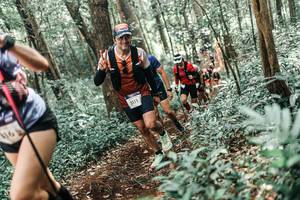 BIB: 
                            <button type="button" onclick="openModal(25571667)" class="btn btn-primary btn-sm float-right btn-popup" data-toggle="modal" data-target=".modal-high-quality">
                        <i class="fas fa-shopping-cart"></i> Add to Cart
                    </button>
                                            <button type="button" onclick="isThisMe(25571667, true)" class="btn btn-success btn-sm float-right btn-popup btn-isme hidden" data-toggle="tooltip" data-placement="bottom" title="นี่คือรูปของคุณใช่ไหม คลิกที่นี่เพื่อเอาเข้าอัลบั้ม">
                        <i class="fas fa-plus"></i> Add to album
                    </button>
                    <button type="button" onclick="isThisMe(25571667, false)" class="btn btn-warning btn-sm float-right btn-popup btn-isnotme hidden">
                        <i class="fas fa-ban"></i> Remove from album
                    </button>