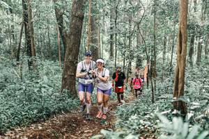 BIB: 
                            <button type="button" onclick="openModal(25543798)" class="btn btn-primary btn-sm float-right btn-popup" data-toggle="modal" data-target=".modal-high-quality">
                        <i class="fas fa-shopping-cart"></i> Add to Cart
                    </button>
                                            <button type="button" onclick="isThisMe(25543798, true)" class="btn btn-success btn-sm float-right btn-popup btn-isme hidden" data-toggle="tooltip" data-placement="bottom" title="นี่คือรูปของคุณใช่ไหม คลิกที่นี่เพื่อเอาเข้าอัลบั้ม">
                        <i class="fas fa-plus"></i> Add to album
                    </button>
                    <button type="button" onclick="isThisMe(25543798, false)" class="btn btn-warning btn-sm float-right btn-popup btn-isnotme hidden">
                        <i class="fas fa-ban"></i> Remove from album
                    </button>