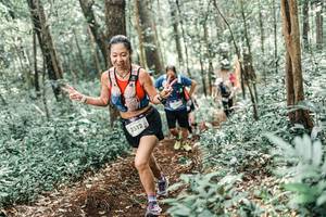 BIB: 
                            <button type="button" onclick="openModal(25560103)" class="btn btn-primary btn-sm float-right btn-popup" data-toggle="modal" data-target=".modal-high-quality">
                        <i class="fas fa-shopping-cart"></i> Add to Cart
                    </button>
                                            <button type="button" onclick="isThisMe(25560103, true)" class="btn btn-success btn-sm float-right btn-popup btn-isme hidden" data-toggle="tooltip" data-placement="bottom" title="นี่คือรูปของคุณใช่ไหม คลิกที่นี่เพื่อเอาเข้าอัลบั้ม">
                        <i class="fas fa-plus"></i> Add to album
                    </button>
                    <button type="button" onclick="isThisMe(25560103, false)" class="btn btn-warning btn-sm float-right btn-popup btn-isnotme hidden">
                        <i class="fas fa-ban"></i> Remove from album
                    </button>