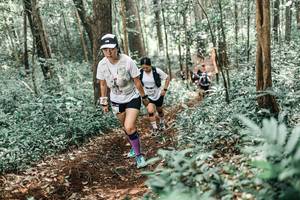 BIB: 
                            <button type="button" onclick="openModal(25571367)" class="btn btn-primary btn-sm float-right btn-popup" data-toggle="modal" data-target=".modal-high-quality">
                        <i class="fas fa-shopping-cart"></i> Add to Cart
                    </button>
                                            <button type="button" onclick="isThisMe(25571367, true)" class="btn btn-success btn-sm float-right btn-popup btn-isme hidden" data-toggle="tooltip" data-placement="bottom" title="นี่คือรูปของคุณใช่ไหม คลิกที่นี่เพื่อเอาเข้าอัลบั้ม">
                        <i class="fas fa-plus"></i> Add to album
                    </button>
                    <button type="button" onclick="isThisMe(25571367, false)" class="btn btn-warning btn-sm float-right btn-popup btn-isnotme hidden">
                        <i class="fas fa-ban"></i> Remove from album
                    </button>