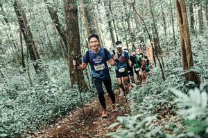 BIB: 
                            <button type="button" onclick="openModal(25560803)" class="btn btn-primary btn-sm float-right btn-popup" data-toggle="modal" data-target=".modal-high-quality">
                        <i class="fas fa-shopping-cart"></i> Add to Cart
                    </button>
                                            <button type="button" onclick="isThisMe(25560803, true)" class="btn btn-success btn-sm float-right btn-popup btn-isme hidden" data-toggle="tooltip" data-placement="bottom" title="นี่คือรูปของคุณใช่ไหม คลิกที่นี่เพื่อเอาเข้าอัลบั้ม">
                        <i class="fas fa-plus"></i> Add to album
                    </button>
                    <button type="button" onclick="isThisMe(25560803, false)" class="btn btn-warning btn-sm float-right btn-popup btn-isnotme hidden">
                        <i class="fas fa-ban"></i> Remove from album
                    </button>