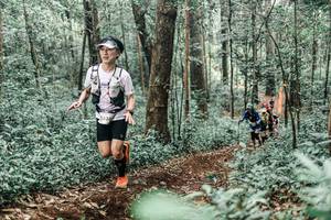 BIB: 
                            <button type="button" onclick="openModal(25585657)" class="btn btn-primary btn-sm float-right btn-popup" data-toggle="modal" data-target=".modal-high-quality">
                        <i class="fas fa-shopping-cart"></i> Add to Cart
                    </button>
                                            <button type="button" onclick="isThisMe(25585657, true)" class="btn btn-success btn-sm float-right btn-popup btn-isme hidden" data-toggle="tooltip" data-placement="bottom" title="นี่คือรูปของคุณใช่ไหม คลิกที่นี่เพื่อเอาเข้าอัลบั้ม">
                        <i class="fas fa-plus"></i> Add to album
                    </button>
                    <button type="button" onclick="isThisMe(25585657, false)" class="btn btn-warning btn-sm float-right btn-popup btn-isnotme hidden">
                        <i class="fas fa-ban"></i> Remove from album
                    </button>