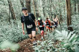 BIB: 
                            <button type="button" onclick="openModal(25578225)" class="btn btn-primary btn-sm float-right btn-popup" data-toggle="modal" data-target=".modal-high-quality">
                        <i class="fas fa-shopping-cart"></i> Add to Cart
                    </button>
                                            <button type="button" onclick="isThisMe(25578225, true)" class="btn btn-success btn-sm float-right btn-popup btn-isme hidden" data-toggle="tooltip" data-placement="bottom" title="นี่คือรูปของคุณใช่ไหม คลิกที่นี่เพื่อเอาเข้าอัลบั้ม">
                        <i class="fas fa-plus"></i> Add to album
                    </button>
                    <button type="button" onclick="isThisMe(25578225, false)" class="btn btn-warning btn-sm float-right btn-popup btn-isnotme hidden">
                        <i class="fas fa-ban"></i> Remove from album
                    </button>