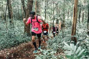 BIB: 
                            <button type="button" onclick="openModal(25545107)" class="btn btn-primary btn-sm float-right btn-popup" data-toggle="modal" data-target=".modal-high-quality">
                        <i class="fas fa-shopping-cart"></i> Add to Cart
                    </button>
                                            <button type="button" onclick="isThisMe(25545107, true)" class="btn btn-success btn-sm float-right btn-popup btn-isme hidden" data-toggle="tooltip" data-placement="bottom" title="นี่คือรูปของคุณใช่ไหม คลิกที่นี่เพื่อเอาเข้าอัลบั้ม">
                        <i class="fas fa-plus"></i> Add to album
                    </button>
                    <button type="button" onclick="isThisMe(25545107, false)" class="btn btn-warning btn-sm float-right btn-popup btn-isnotme hidden">
                        <i class="fas fa-ban"></i> Remove from album
                    </button>