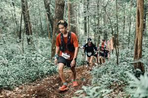 BIB: 
                            <button type="button" onclick="openModal(25593640)" class="btn btn-primary btn-sm float-right btn-popup" data-toggle="modal" data-target=".modal-high-quality">
                        <i class="fas fa-shopping-cart"></i> Add to Cart
                    </button>
                                            <button type="button" onclick="isThisMe(25593640, true)" class="btn btn-success btn-sm float-right btn-popup btn-isme hidden" data-toggle="tooltip" data-placement="bottom" title="นี่คือรูปของคุณใช่ไหม คลิกที่นี่เพื่อเอาเข้าอัลบั้ม">
                        <i class="fas fa-plus"></i> Add to album
                    </button>
                    <button type="button" onclick="isThisMe(25593640, false)" class="btn btn-warning btn-sm float-right btn-popup btn-isnotme hidden">
                        <i class="fas fa-ban"></i> Remove from album
                    </button>