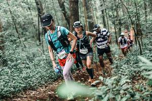 BIB: 
                            <button type="button" onclick="openModal(25585230)" class="btn btn-primary btn-sm float-right btn-popup" data-toggle="modal" data-target=".modal-high-quality">
                        <i class="fas fa-shopping-cart"></i> Add to Cart
                    </button>
                                            <button type="button" onclick="isThisMe(25585230, true)" class="btn btn-success btn-sm float-right btn-popup btn-isme hidden" data-toggle="tooltip" data-placement="bottom" title="นี่คือรูปของคุณใช่ไหม คลิกที่นี่เพื่อเอาเข้าอัลบั้ม">
                        <i class="fas fa-plus"></i> Add to album
                    </button>
                    <button type="button" onclick="isThisMe(25585230, false)" class="btn btn-warning btn-sm float-right btn-popup btn-isnotme hidden">
                        <i class="fas fa-ban"></i> Remove from album
                    </button>