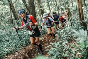 BIB: 
                            <button type="button" onclick="openModal(25571583)" class="btn btn-primary btn-sm float-right btn-popup" data-toggle="modal" data-target=".modal-high-quality">
                        <i class="fas fa-shopping-cart"></i> Add to Cart
                    </button>
                                            <button type="button" onclick="isThisMe(25571583, true)" class="btn btn-success btn-sm float-right btn-popup btn-isme hidden" data-toggle="tooltip" data-placement="bottom" title="นี่คือรูปของคุณใช่ไหม คลิกที่นี่เพื่อเอาเข้าอัลบั้ม">
                        <i class="fas fa-plus"></i> Add to album
                    </button>
                    <button type="button" onclick="isThisMe(25571583, false)" class="btn btn-warning btn-sm float-right btn-popup btn-isnotme hidden">
                        <i class="fas fa-ban"></i> Remove from album
                    </button>