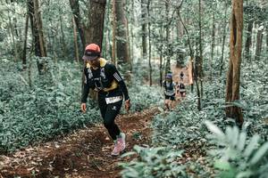 BIB: 
                            <button type="button" onclick="openModal(25549184)" class="btn btn-primary btn-sm float-right btn-popup" data-toggle="modal" data-target=".modal-high-quality">
                        <i class="fas fa-shopping-cart"></i> Add to Cart
                    </button>
                                            <button type="button" onclick="isThisMe(25549184, true)" class="btn btn-success btn-sm float-right btn-popup btn-isme hidden" data-toggle="tooltip" data-placement="bottom" title="นี่คือรูปของคุณใช่ไหม คลิกที่นี่เพื่อเอาเข้าอัลบั้ม">
                        <i class="fas fa-plus"></i> Add to album
                    </button>
                    <button type="button" onclick="isThisMe(25549184, false)" class="btn btn-warning btn-sm float-right btn-popup btn-isnotme hidden">
                        <i class="fas fa-ban"></i> Remove from album
                    </button>