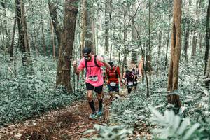 BIB: 
                            <button type="button" onclick="openModal(25545066)" class="btn btn-primary btn-sm float-right btn-popup" data-toggle="modal" data-target=".modal-high-quality">
                        <i class="fas fa-shopping-cart"></i> Add to Cart
                    </button>
                                            <button type="button" onclick="isThisMe(25545066, true)" class="btn btn-success btn-sm float-right btn-popup btn-isme hidden" data-toggle="tooltip" data-placement="bottom" title="นี่คือรูปของคุณใช่ไหม คลิกที่นี่เพื่อเอาเข้าอัลบั้ม">
                        <i class="fas fa-plus"></i> Add to album
                    </button>
                    <button type="button" onclick="isThisMe(25545066, false)" class="btn btn-warning btn-sm float-right btn-popup btn-isnotme hidden">
                        <i class="fas fa-ban"></i> Remove from album
                    </button>