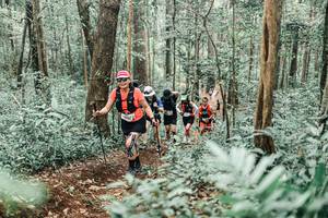 BIB: 
                            <button type="button" onclick="openModal(25578077)" class="btn btn-primary btn-sm float-right btn-popup" data-toggle="modal" data-target=".modal-high-quality">
                        <i class="fas fa-shopping-cart"></i> Add to Cart
                    </button>
                                            <button type="button" onclick="isThisMe(25578077, true)" class="btn btn-success btn-sm float-right btn-popup btn-isme hidden" data-toggle="tooltip" data-placement="bottom" title="นี่คือรูปของคุณใช่ไหม คลิกที่นี่เพื่อเอาเข้าอัลบั้ม">
                        <i class="fas fa-plus"></i> Add to album
                    </button>
                    <button type="button" onclick="isThisMe(25578077, false)" class="btn btn-warning btn-sm float-right btn-popup btn-isnotme hidden">
                        <i class="fas fa-ban"></i> Remove from album
                    </button>