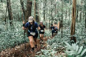 BIB: 
                            <button type="button" onclick="openModal(25560786)" class="btn btn-primary btn-sm float-right btn-popup" data-toggle="modal" data-target=".modal-high-quality">
                        <i class="fas fa-shopping-cart"></i> Add to Cart
                    </button>
                                            <button type="button" onclick="isThisMe(25560786, true)" class="btn btn-success btn-sm float-right btn-popup btn-isme hidden" data-toggle="tooltip" data-placement="bottom" title="นี่คือรูปของคุณใช่ไหม คลิกที่นี่เพื่อเอาเข้าอัลบั้ม">
                        <i class="fas fa-plus"></i> Add to album
                    </button>
                    <button type="button" onclick="isThisMe(25560786, false)" class="btn btn-warning btn-sm float-right btn-popup btn-isnotme hidden">
                        <i class="fas fa-ban"></i> Remove from album
                    </button>