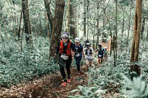 BIB: 
                            <button type="button" onclick="openModal(25558818)" class="btn btn-primary btn-sm float-right btn-popup" data-toggle="modal" data-target=".modal-high-quality">
                        <i class="fas fa-shopping-cart"></i> Add to Cart
                    </button>
                                            <button type="button" onclick="isThisMe(25558818, true)" class="btn btn-success btn-sm float-right btn-popup btn-isme hidden" data-toggle="tooltip" data-placement="bottom" title="นี่คือรูปของคุณใช่ไหม คลิกที่นี่เพื่อเอาเข้าอัลบั้ม">
                        <i class="fas fa-plus"></i> Add to album
                    </button>
                    <button type="button" onclick="isThisMe(25558818, false)" class="btn btn-warning btn-sm float-right btn-popup btn-isnotme hidden">
                        <i class="fas fa-ban"></i> Remove from album
                    </button>