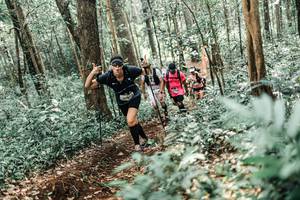 BIB: 
                            <button type="button" onclick="openModal(25560286)" class="btn btn-primary btn-sm float-right btn-popup" data-toggle="modal" data-target=".modal-high-quality">
                        <i class="fas fa-shopping-cart"></i> Add to Cart
                    </button>
                                            <button type="button" onclick="isThisMe(25560286, true)" class="btn btn-success btn-sm float-right btn-popup btn-isme hidden" data-toggle="tooltip" data-placement="bottom" title="นี่คือรูปของคุณใช่ไหม คลิกที่นี่เพื่อเอาเข้าอัลบั้ม">
                        <i class="fas fa-plus"></i> Add to album
                    </button>
                    <button type="button" onclick="isThisMe(25560286, false)" class="btn btn-warning btn-sm float-right btn-popup btn-isnotme hidden">
                        <i class="fas fa-ban"></i> Remove from album
                    </button>