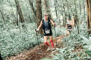 BIB: 
                            <button type="button" onclick="openModal(25609560)" class="btn btn-primary btn-sm float-right btn-popup" data-toggle="modal" data-target=".modal-high-quality">
                        <i class="fas fa-shopping-cart"></i> Add to Cart
                    </button>
                                            <button type="button" onclick="isThisMe(25609560, true)" class="btn btn-success btn-sm float-right btn-popup btn-isme hidden" data-toggle="tooltip" data-placement="bottom" title="นี่คือรูปของคุณใช่ไหม คลิกที่นี่เพื่อเอาเข้าอัลบั้ม">
                        <i class="fas fa-plus"></i> Add to album
                    </button>
                    <button type="button" onclick="isThisMe(25609560, false)" class="btn btn-warning btn-sm float-right btn-popup btn-isnotme hidden">
                        <i class="fas fa-ban"></i> Remove from album
                    </button>