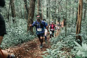 BIB: 
                            <button type="button" onclick="openModal(25614028)" class="btn btn-primary btn-sm float-right btn-popup" data-toggle="modal" data-target=".modal-high-quality">
                        <i class="fas fa-shopping-cart"></i> Add to Cart
                    </button>
                                            <button type="button" onclick="isThisMe(25614028, true)" class="btn btn-success btn-sm float-right btn-popup btn-isme hidden" data-toggle="tooltip" data-placement="bottom" title="นี่คือรูปของคุณใช่ไหม คลิกที่นี่เพื่อเอาเข้าอัลบั้ม">
                        <i class="fas fa-plus"></i> Add to album
                    </button>
                    <button type="button" onclick="isThisMe(25614028, false)" class="btn btn-warning btn-sm float-right btn-popup btn-isnotme hidden">
                        <i class="fas fa-ban"></i> Remove from album
                    </button>