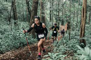 BIB: 
                            <button type="button" onclick="openModal(25625864)" class="btn btn-primary btn-sm float-right btn-popup" data-toggle="modal" data-target=".modal-high-quality">
                        <i class="fas fa-shopping-cart"></i> Add to Cart
                    </button>
                                            <button type="button" onclick="isThisMe(25625864, true)" class="btn btn-success btn-sm float-right btn-popup btn-isme hidden" data-toggle="tooltip" data-placement="bottom" title="นี่คือรูปของคุณใช่ไหม คลิกที่นี่เพื่อเอาเข้าอัลบั้ม">
                        <i class="fas fa-plus"></i> Add to album
                    </button>
                    <button type="button" onclick="isThisMe(25625864, false)" class="btn btn-warning btn-sm float-right btn-popup btn-isnotme hidden">
                        <i class="fas fa-ban"></i> Remove from album
                    </button>