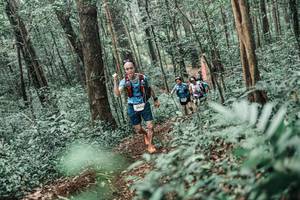 BIB: 
                            <button type="button" onclick="openModal(25646292)" class="btn btn-primary btn-sm float-right btn-popup" data-toggle="modal" data-target=".modal-high-quality">
                        <i class="fas fa-shopping-cart"></i> Add to Cart
                    </button>
                                            <button type="button" onclick="isThisMe(25646292, true)" class="btn btn-success btn-sm float-right btn-popup btn-isme hidden" data-toggle="tooltip" data-placement="bottom" title="นี่คือรูปของคุณใช่ไหม คลิกที่นี่เพื่อเอาเข้าอัลบั้ม">
                        <i class="fas fa-plus"></i> Add to album
                    </button>
                    <button type="button" onclick="isThisMe(25646292, false)" class="btn btn-warning btn-sm float-right btn-popup btn-isnotme hidden">
                        <i class="fas fa-ban"></i> Remove from album
                    </button>