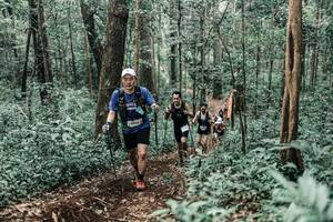 BIB: 
                            <button type="button" onclick="openModal(25622830)" class="btn btn-primary btn-sm float-right btn-popup" data-toggle="modal" data-target=".modal-high-quality">
                        <i class="fas fa-shopping-cart"></i> Add to Cart
                    </button>
                                            <button type="button" onclick="isThisMe(25622830, true)" class="btn btn-success btn-sm float-right btn-popup btn-isme hidden" data-toggle="tooltip" data-placement="bottom" title="นี่คือรูปของคุณใช่ไหม คลิกที่นี่เพื่อเอาเข้าอัลบั้ม">
                        <i class="fas fa-plus"></i> Add to album
                    </button>
                    <button type="button" onclick="isThisMe(25622830, false)" class="btn btn-warning btn-sm float-right btn-popup btn-isnotme hidden">
                        <i class="fas fa-ban"></i> Remove from album
                    </button>