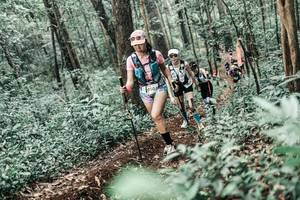 BIB: 
                            <button type="button" onclick="openModal(25620599)" class="btn btn-primary btn-sm float-right btn-popup" data-toggle="modal" data-target=".modal-high-quality">
                        <i class="fas fa-shopping-cart"></i> Add to Cart
                    </button>
                                            <button type="button" onclick="isThisMe(25620599, true)" class="btn btn-success btn-sm float-right btn-popup btn-isme hidden" data-toggle="tooltip" data-placement="bottom" title="นี่คือรูปของคุณใช่ไหม คลิกที่นี่เพื่อเอาเข้าอัลบั้ม">
                        <i class="fas fa-plus"></i> Add to album
                    </button>
                    <button type="button" onclick="isThisMe(25620599, false)" class="btn btn-warning btn-sm float-right btn-popup btn-isnotme hidden">
                        <i class="fas fa-ban"></i> Remove from album
                    </button>