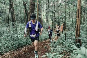 BIB: 
                            <button type="button" onclick="openModal(25626343)" class="btn btn-primary btn-sm float-right btn-popup" data-toggle="modal" data-target=".modal-high-quality">
                        <i class="fas fa-shopping-cart"></i> Add to Cart
                    </button>
                                            <button type="button" onclick="isThisMe(25626343, true)" class="btn btn-success btn-sm float-right btn-popup btn-isme hidden" data-toggle="tooltip" data-placement="bottom" title="นี่คือรูปของคุณใช่ไหม คลิกที่นี่เพื่อเอาเข้าอัลบั้ม">
                        <i class="fas fa-plus"></i> Add to album
                    </button>
                    <button type="button" onclick="isThisMe(25626343, false)" class="btn btn-warning btn-sm float-right btn-popup btn-isnotme hidden">
                        <i class="fas fa-ban"></i> Remove from album
                    </button>