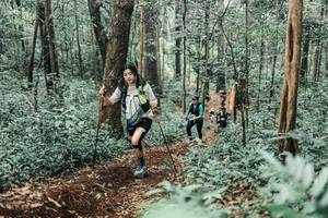 BIB: 
                            <button type="button" onclick="openModal(25616545)" class="btn btn-primary btn-sm float-right btn-popup" data-toggle="modal" data-target=".modal-high-quality">
                        <i class="fas fa-shopping-cart"></i> Add to Cart
                    </button>
                                            <button type="button" onclick="isThisMe(25616545, true)" class="btn btn-success btn-sm float-right btn-popup btn-isme hidden" data-toggle="tooltip" data-placement="bottom" title="นี่คือรูปของคุณใช่ไหม คลิกที่นี่เพื่อเอาเข้าอัลบั้ม">
                        <i class="fas fa-plus"></i> Add to album
                    </button>
                    <button type="button" onclick="isThisMe(25616545, false)" class="btn btn-warning btn-sm float-right btn-popup btn-isnotme hidden">
                        <i class="fas fa-ban"></i> Remove from album
                    </button>