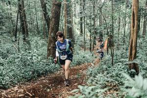 BIB: 
                            <button type="button" onclick="openModal(25616429)" class="btn btn-primary btn-sm float-right btn-popup" data-toggle="modal" data-target=".modal-high-quality">
                        <i class="fas fa-shopping-cart"></i> Add to Cart
                    </button>
                                            <button type="button" onclick="isThisMe(25616429, true)" class="btn btn-success btn-sm float-right btn-popup btn-isme hidden" data-toggle="tooltip" data-placement="bottom" title="นี่คือรูปของคุณใช่ไหม คลิกที่นี่เพื่อเอาเข้าอัลบั้ม">
                        <i class="fas fa-plus"></i> Add to album
                    </button>
                    <button type="button" onclick="isThisMe(25616429, false)" class="btn btn-warning btn-sm float-right btn-popup btn-isnotme hidden">
                        <i class="fas fa-ban"></i> Remove from album
                    </button>