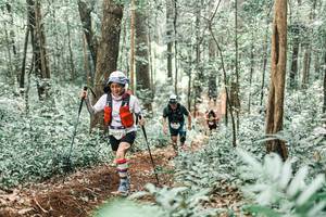 BIB: 
                            <button type="button" onclick="openModal(25613737)" class="btn btn-primary btn-sm float-right btn-popup" data-toggle="modal" data-target=".modal-high-quality">
                        <i class="fas fa-shopping-cart"></i> Add to Cart
                    </button>
                                            <button type="button" onclick="isThisMe(25613737, true)" class="btn btn-success btn-sm float-right btn-popup btn-isme hidden" data-toggle="tooltip" data-placement="bottom" title="นี่คือรูปของคุณใช่ไหม คลิกที่นี่เพื่อเอาเข้าอัลบั้ม">
                        <i class="fas fa-plus"></i> Add to album
                    </button>
                    <button type="button" onclick="isThisMe(25613737, false)" class="btn btn-warning btn-sm float-right btn-popup btn-isnotme hidden">
                        <i class="fas fa-ban"></i> Remove from album
                    </button>