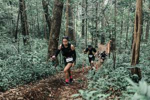 BIB: 
                            <button type="button" onclick="openModal(25625872)" class="btn btn-primary btn-sm float-right btn-popup" data-toggle="modal" data-target=".modal-high-quality">
                        <i class="fas fa-shopping-cart"></i> Add to Cart
                    </button>
                                            <button type="button" onclick="isThisMe(25625872, true)" class="btn btn-success btn-sm float-right btn-popup btn-isme hidden" data-toggle="tooltip" data-placement="bottom" title="นี่คือรูปของคุณใช่ไหม คลิกที่นี่เพื่อเอาเข้าอัลบั้ม">
                        <i class="fas fa-plus"></i> Add to album
                    </button>
                    <button type="button" onclick="isThisMe(25625872, false)" class="btn btn-warning btn-sm float-right btn-popup btn-isnotme hidden">
                        <i class="fas fa-ban"></i> Remove from album
                    </button>