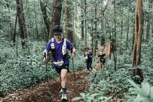 BIB: 
                            <button type="button" onclick="openModal(25626346)" class="btn btn-primary btn-sm float-right btn-popup" data-toggle="modal" data-target=".modal-high-quality">
                        <i class="fas fa-shopping-cart"></i> Add to Cart
                    </button>
                                            <button type="button" onclick="isThisMe(25626346, true)" class="btn btn-success btn-sm float-right btn-popup btn-isme hidden" data-toggle="tooltip" data-placement="bottom" title="นี่คือรูปของคุณใช่ไหม คลิกที่นี่เพื่อเอาเข้าอัลบั้ม">
                        <i class="fas fa-plus"></i> Add to album
                    </button>
                    <button type="button" onclick="isThisMe(25626346, false)" class="btn btn-warning btn-sm float-right btn-popup btn-isnotme hidden">
                        <i class="fas fa-ban"></i> Remove from album
                    </button>