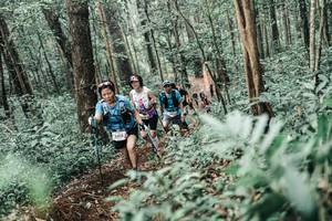 BIB: 
                            <button type="button" onclick="openModal(25646637)" class="btn btn-primary btn-sm float-right btn-popup" data-toggle="modal" data-target=".modal-high-quality">
                        <i class="fas fa-shopping-cart"></i> Add to Cart
                    </button>
                                            <button type="button" onclick="isThisMe(25646637, true)" class="btn btn-success btn-sm float-right btn-popup btn-isme hidden" data-toggle="tooltip" data-placement="bottom" title="นี่คือรูปของคุณใช่ไหม คลิกที่นี่เพื่อเอาเข้าอัลบั้ม">
                        <i class="fas fa-plus"></i> Add to album
                    </button>
                    <button type="button" onclick="isThisMe(25646637, false)" class="btn btn-warning btn-sm float-right btn-popup btn-isnotme hidden">
                        <i class="fas fa-ban"></i> Remove from album
                    </button>