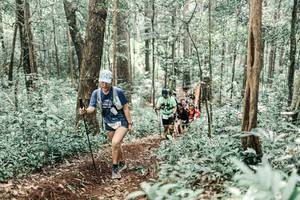 BIB: 
                            <button type="button" onclick="openModal(25636853)" class="btn btn-primary btn-sm float-right btn-popup" data-toggle="modal" data-target=".modal-high-quality">
                        <i class="fas fa-shopping-cart"></i> Add to Cart
                    </button>
                                            <button type="button" onclick="isThisMe(25636853, true)" class="btn btn-success btn-sm float-right btn-popup btn-isme hidden" data-toggle="tooltip" data-placement="bottom" title="นี่คือรูปของคุณใช่ไหม คลิกที่นี่เพื่อเอาเข้าอัลบั้ม">
                        <i class="fas fa-plus"></i> Add to album
                    </button>
                    <button type="button" onclick="isThisMe(25636853, false)" class="btn btn-warning btn-sm float-right btn-popup btn-isnotme hidden">
                        <i class="fas fa-ban"></i> Remove from album
                    </button>