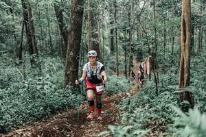 BIB: 
                            <button type="button" onclick="openModal(25623667)" class="btn btn-primary btn-sm float-right btn-popup" data-toggle="modal" data-target=".modal-high-quality">
                        <i class="fas fa-shopping-cart"></i> Add to Cart
                    </button>
                                            <button type="button" onclick="isThisMe(25623667, true)" class="btn btn-success btn-sm float-right btn-popup btn-isme hidden" data-toggle="tooltip" data-placement="bottom" title="นี่คือรูปของคุณใช่ไหม คลิกที่นี่เพื่อเอาเข้าอัลบั้ม">
                        <i class="fas fa-plus"></i> Add to album
                    </button>
                    <button type="button" onclick="isThisMe(25623667, false)" class="btn btn-warning btn-sm float-right btn-popup btn-isnotme hidden">
                        <i class="fas fa-ban"></i> Remove from album
                    </button>