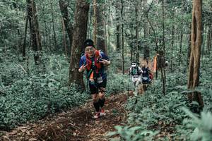 BIB: 
                            <button type="button" onclick="openModal(25625680)" class="btn btn-primary btn-sm float-right btn-popup" data-toggle="modal" data-target=".modal-high-quality">
                        <i class="fas fa-shopping-cart"></i> Add to Cart
                    </button>
                                            <button type="button" onclick="isThisMe(25625680, true)" class="btn btn-success btn-sm float-right btn-popup btn-isme hidden" data-toggle="tooltip" data-placement="bottom" title="นี่คือรูปของคุณใช่ไหม คลิกที่นี่เพื่อเอาเข้าอัลบั้ม">
                        <i class="fas fa-plus"></i> Add to album
                    </button>
                    <button type="button" onclick="isThisMe(25625680, false)" class="btn btn-warning btn-sm float-right btn-popup btn-isnotme hidden">
                        <i class="fas fa-ban"></i> Remove from album
                    </button>