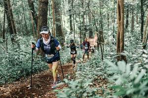 BIB: 
                            <button type="button" onclick="openModal(25469285)" class="btn btn-primary btn-sm float-right btn-popup" data-toggle="modal" data-target=".modal-high-quality">
                        <i class="fas fa-shopping-cart"></i> Add to Cart
                    </button>
                                            <button type="button" onclick="isThisMe(25469285, true)" class="btn btn-success btn-sm float-right btn-popup btn-isme hidden" data-toggle="tooltip" data-placement="bottom" title="นี่คือรูปของคุณใช่ไหม คลิกที่นี่เพื่อเอาเข้าอัลบั้ม">
                        <i class="fas fa-plus"></i> Add to album
                    </button>
                    <button type="button" onclick="isThisMe(25469285, false)" class="btn btn-warning btn-sm float-right btn-popup btn-isnotme hidden">
                        <i class="fas fa-ban"></i> Remove from album
                    </button>