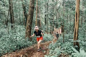 BIB: 
                            <button type="button" onclick="openModal(25472044)" class="btn btn-primary btn-sm float-right btn-popup" data-toggle="modal" data-target=".modal-high-quality">
                        <i class="fas fa-shopping-cart"></i> Add to Cart
                    </button>
                                            <button type="button" onclick="isThisMe(25472044, true)" class="btn btn-success btn-sm float-right btn-popup btn-isme hidden" data-toggle="tooltip" data-placement="bottom" title="นี่คือรูปของคุณใช่ไหม คลิกที่นี่เพื่อเอาเข้าอัลบั้ม">
                        <i class="fas fa-plus"></i> Add to album
                    </button>
                    <button type="button" onclick="isThisMe(25472044, false)" class="btn btn-warning btn-sm float-right btn-popup btn-isnotme hidden">
                        <i class="fas fa-ban"></i> Remove from album
                    </button>