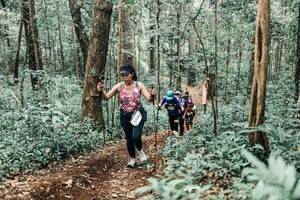 BIB: 
                            <button type="button" onclick="openModal(25471201)" class="btn btn-primary btn-sm float-right btn-popup" data-toggle="modal" data-target=".modal-high-quality">
                        <i class="fas fa-shopping-cart"></i> Add to Cart
                    </button>
                                            <button type="button" onclick="isThisMe(25471201, true)" class="btn btn-success btn-sm float-right btn-popup btn-isme hidden" data-toggle="tooltip" data-placement="bottom" title="นี่คือรูปของคุณใช่ไหม คลิกที่นี่เพื่อเอาเข้าอัลบั้ม">
                        <i class="fas fa-plus"></i> Add to album
                    </button>
                    <button type="button" onclick="isThisMe(25471201, false)" class="btn btn-warning btn-sm float-right btn-popup btn-isnotme hidden">
                        <i class="fas fa-ban"></i> Remove from album
                    </button>