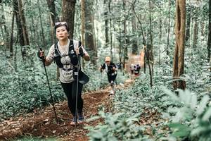 BIB: 
                            <button type="button" onclick="openModal(25469369)" class="btn btn-primary btn-sm float-right btn-popup" data-toggle="modal" data-target=".modal-high-quality">
                        <i class="fas fa-shopping-cart"></i> Add to Cart
                    </button>
                                            <button type="button" onclick="isThisMe(25469369, true)" class="btn btn-success btn-sm float-right btn-popup btn-isme hidden" data-toggle="tooltip" data-placement="bottom" title="นี่คือรูปของคุณใช่ไหม คลิกที่นี่เพื่อเอาเข้าอัลบั้ม">
                        <i class="fas fa-plus"></i> Add to album
                    </button>
                    <button type="button" onclick="isThisMe(25469369, false)" class="btn btn-warning btn-sm float-right btn-popup btn-isnotme hidden">
                        <i class="fas fa-ban"></i> Remove from album
                    </button>