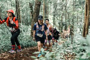 BIB: 
                            <button type="button" onclick="openModal(25469113)" class="btn btn-primary btn-sm float-right btn-popup" data-toggle="modal" data-target=".modal-high-quality">
                        <i class="fas fa-shopping-cart"></i> Add to Cart
                    </button>
                                            <button type="button" onclick="isThisMe(25469113, true)" class="btn btn-success btn-sm float-right btn-popup btn-isme hidden" data-toggle="tooltip" data-placement="bottom" title="นี่คือรูปของคุณใช่ไหม คลิกที่นี่เพื่อเอาเข้าอัลบั้ม">
                        <i class="fas fa-plus"></i> Add to album
                    </button>
                    <button type="button" onclick="isThisMe(25469113, false)" class="btn btn-warning btn-sm float-right btn-popup btn-isnotme hidden">
                        <i class="fas fa-ban"></i> Remove from album
                    </button>