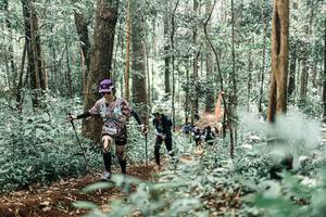 BIB: 
                            <button type="button" onclick="openModal(25469206)" class="btn btn-primary btn-sm float-right btn-popup" data-toggle="modal" data-target=".modal-high-quality">
                        <i class="fas fa-shopping-cart"></i> Add to Cart
                    </button>
                                            <button type="button" onclick="isThisMe(25469206, true)" class="btn btn-success btn-sm float-right btn-popup btn-isme hidden" data-toggle="tooltip" data-placement="bottom" title="นี่คือรูปของคุณใช่ไหม คลิกที่นี่เพื่อเอาเข้าอัลบั้ม">
                        <i class="fas fa-plus"></i> Add to album
                    </button>
                    <button type="button" onclick="isThisMe(25469206, false)" class="btn btn-warning btn-sm float-right btn-popup btn-isnotme hidden">
                        <i class="fas fa-ban"></i> Remove from album
                    </button>