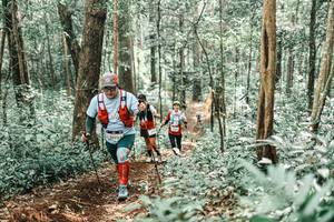 BIB: 
                            <button type="button" onclick="openModal(25469579)" class="btn btn-primary btn-sm float-right btn-popup" data-toggle="modal" data-target=".modal-high-quality">
                        <i class="fas fa-shopping-cart"></i> Add to Cart
                    </button>
                                            <button type="button" onclick="isThisMe(25469579, true)" class="btn btn-success btn-sm float-right btn-popup btn-isme hidden" data-toggle="tooltip" data-placement="bottom" title="นี่คือรูปของคุณใช่ไหม คลิกที่นี่เพื่อเอาเข้าอัลบั้ม">
                        <i class="fas fa-plus"></i> Add to album
                    </button>
                    <button type="button" onclick="isThisMe(25469579, false)" class="btn btn-warning btn-sm float-right btn-popup btn-isnotme hidden">
                        <i class="fas fa-ban"></i> Remove from album
                    </button>