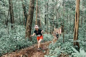 BIB: 
                            <button type="button" onclick="openModal(25472036)" class="btn btn-primary btn-sm float-right btn-popup" data-toggle="modal" data-target=".modal-high-quality">
                        <i class="fas fa-shopping-cart"></i> Add to Cart
                    </button>
                                            <button type="button" onclick="isThisMe(25472036, true)" class="btn btn-success btn-sm float-right btn-popup btn-isme hidden" data-toggle="tooltip" data-placement="bottom" title="นี่คือรูปของคุณใช่ไหม คลิกที่นี่เพื่อเอาเข้าอัลบั้ม">
                        <i class="fas fa-plus"></i> Add to album
                    </button>
                    <button type="button" onclick="isThisMe(25472036, false)" class="btn btn-warning btn-sm float-right btn-popup btn-isnotme hidden">
                        <i class="fas fa-ban"></i> Remove from album
                    </button>